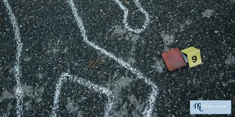 best north port vehicular homicide attorney