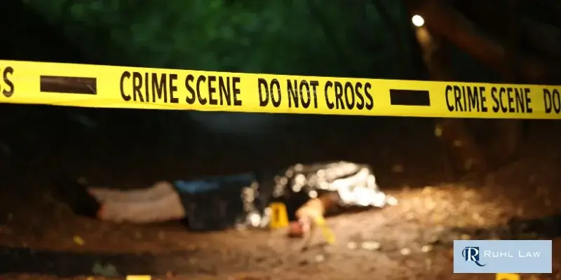 best north port vehicular homicide lawyer